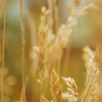 Repositorio Kérwá y Portal de Revistas de la Universidad de Costa Rica entre los mejores del mundo